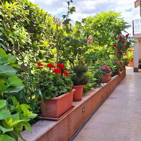 Newly Renovated In * פונטנה